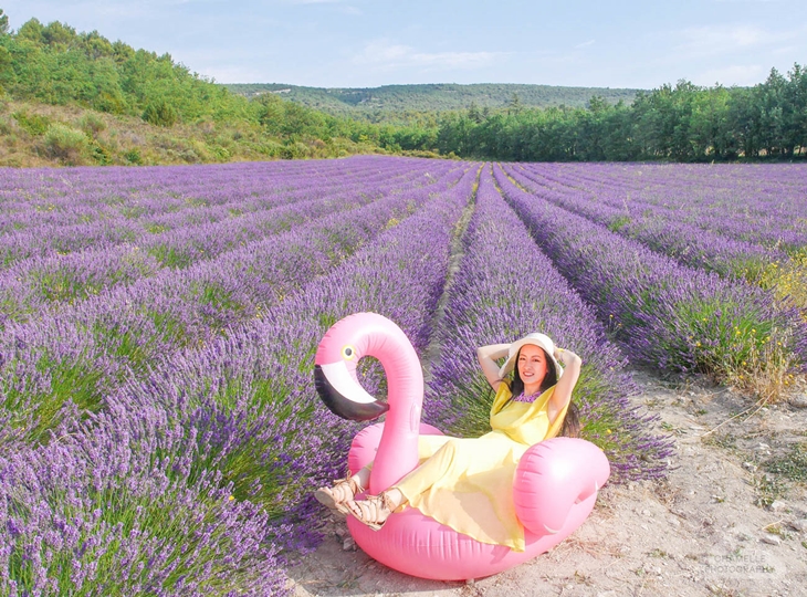 Check in tại cánh đồng hoa oải hương rộng lớn vùng Provence